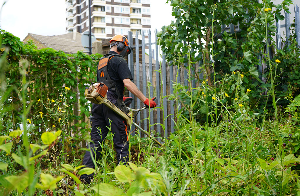 Excavation method for knotweed